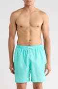 Nike 7-Inch Volley Swim Shorts
