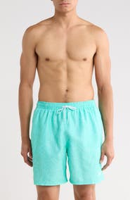 Nike 7-Inch Volley Swim Shorts