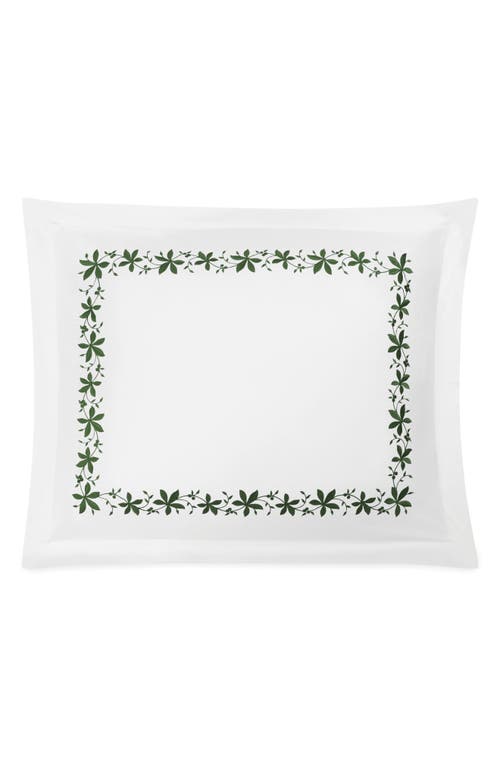 Matouk Callista Count Cotton Percale Sham