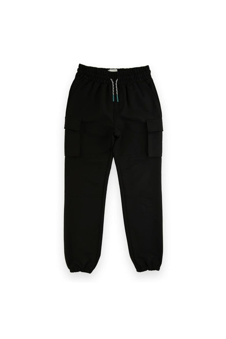 Hyperloop Jogger Pants, Main, color, Black