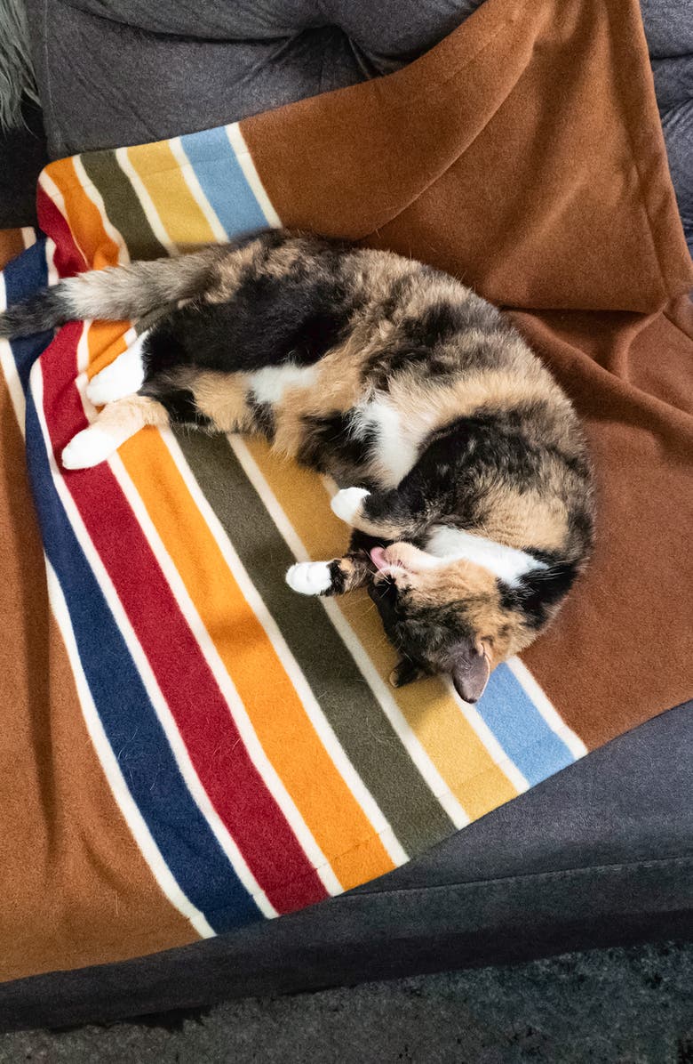 Pendleton National Park Crate Blanket, Alternate, color, Joshua Tree