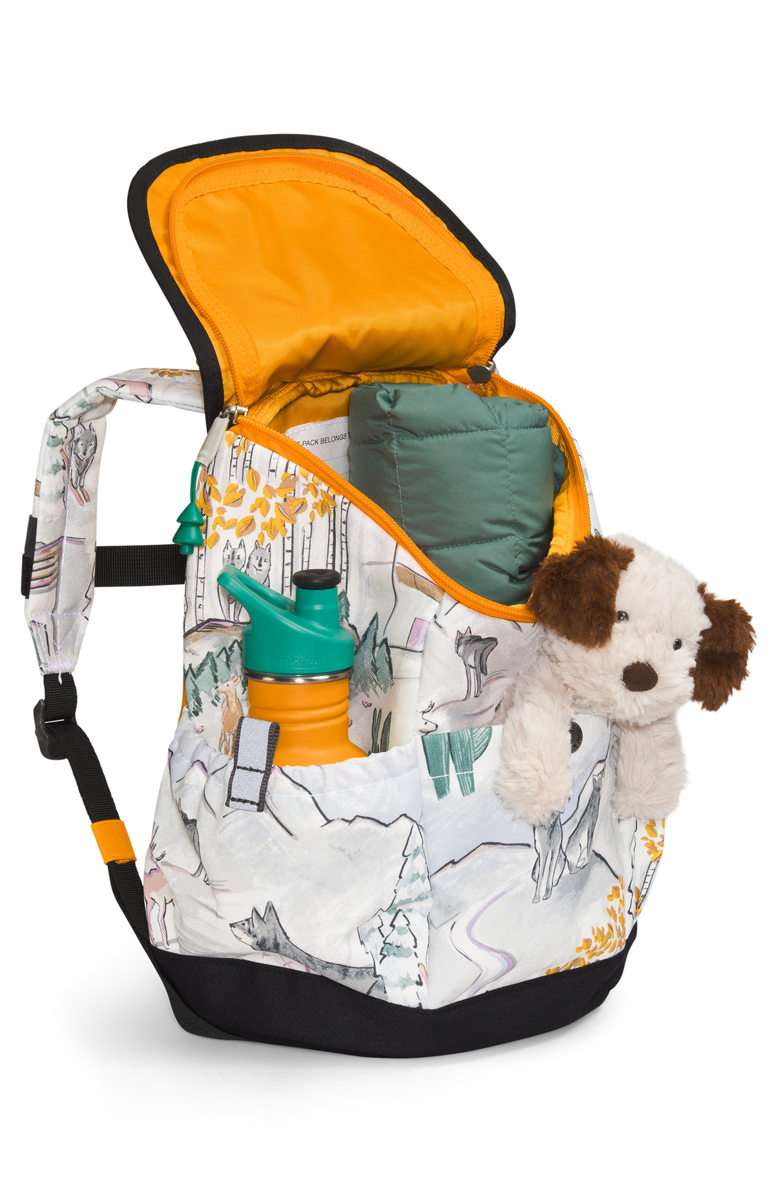 The North Face Kids' Youth Mini Explorer Backpack, Alternate, color, 
