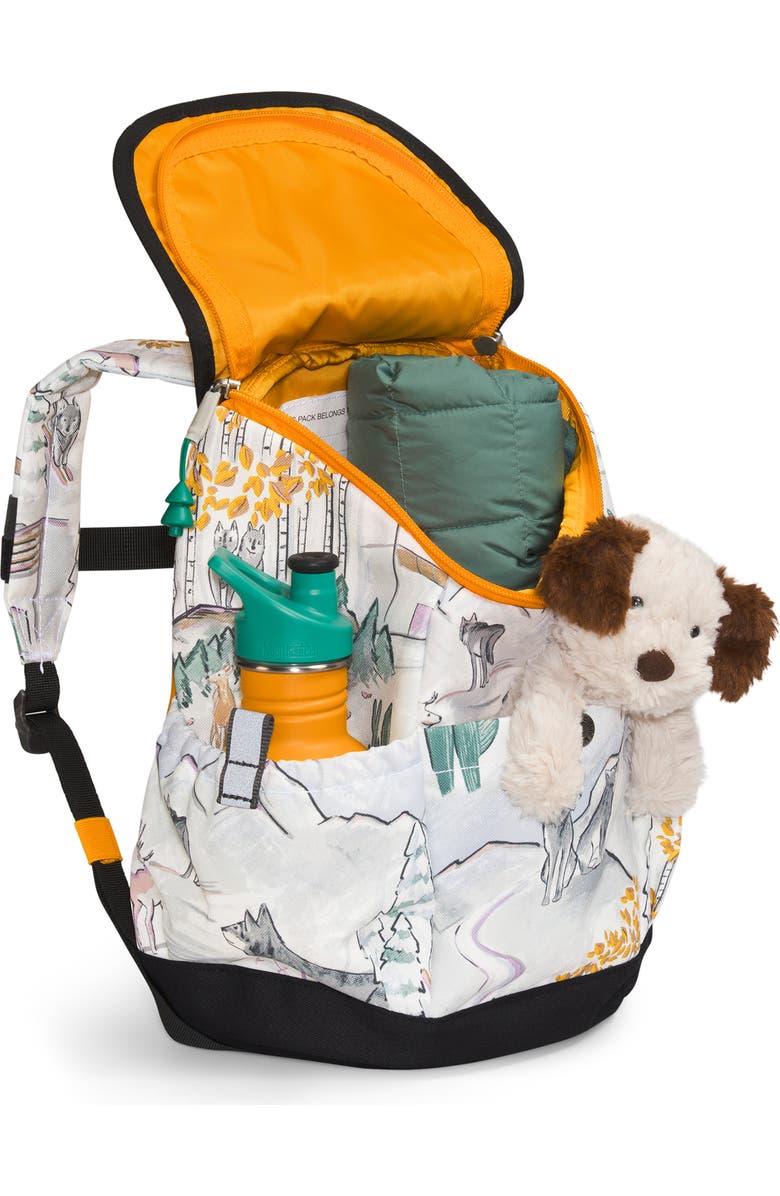 The North Face Kids' Youth Mini Explorer Backpack, Alternate, color,