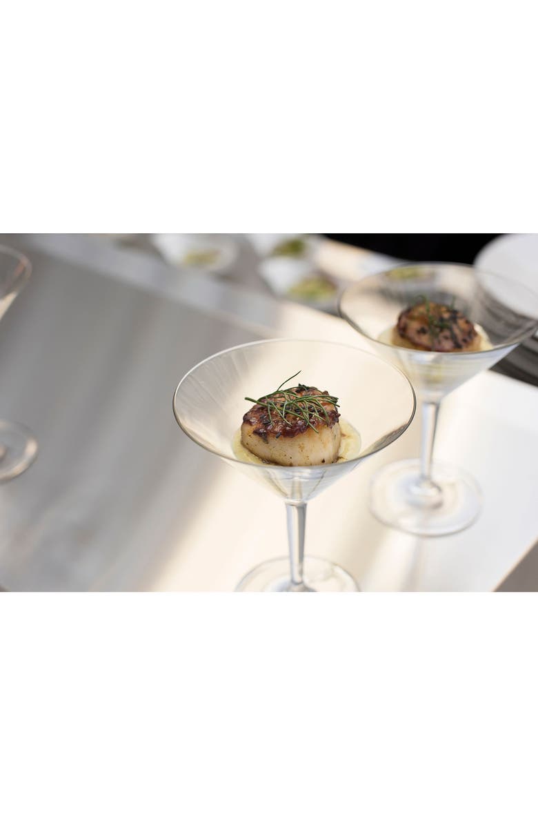 Schott Zwiesel Basic Bar Set of 6 Martini Glasses, Alternate, color, Clear