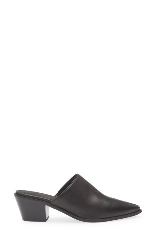 Chocolat Blu Cellia Pointed Toe Mule In Black