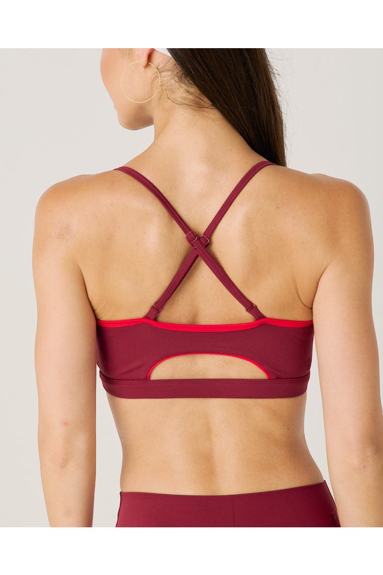 Ligne Sports Bra, Alternate, color, Cabernet