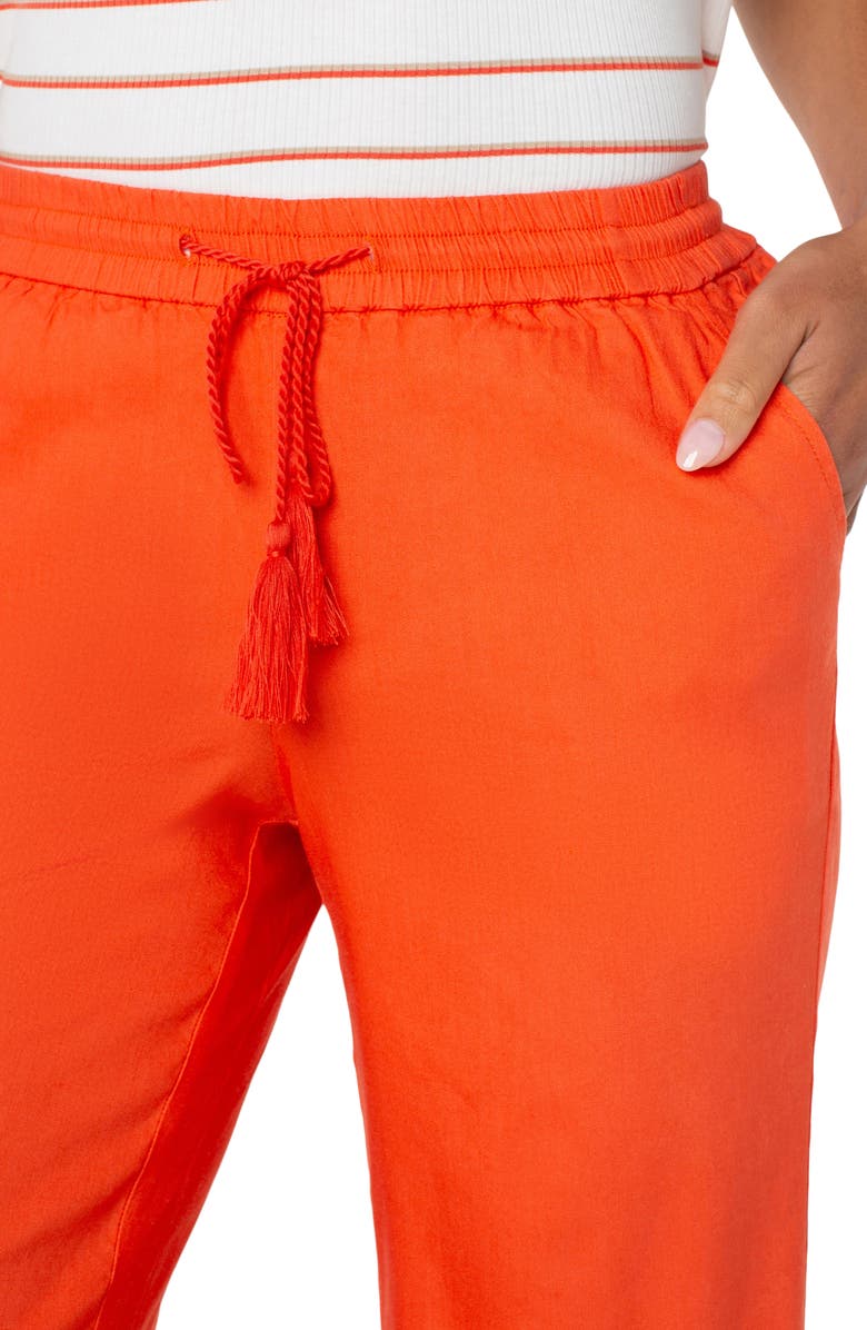 Liverpool Los Angeles Drawstring Wide Leg Pants, Alternate, color,