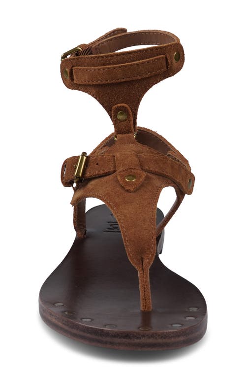 Zigi Lust Ankle Strap Sandal In Brown