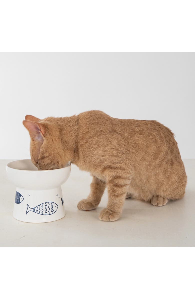 Dexypaws Elevated Ceramic Fish 7oz Cat Feeding Bowl, Alternate, color, Multicolored