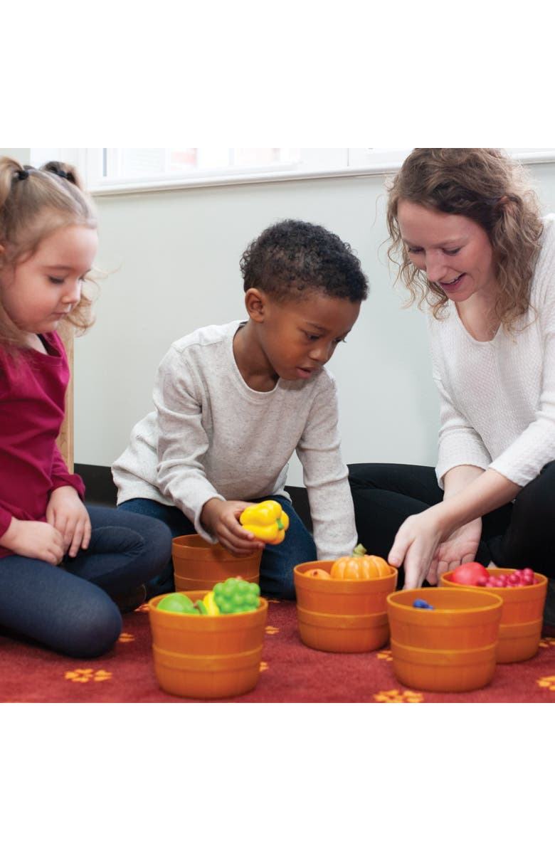 Kaplan Early Learning Company The Nutrition Activity Kit, Alternate, color, Multicolor