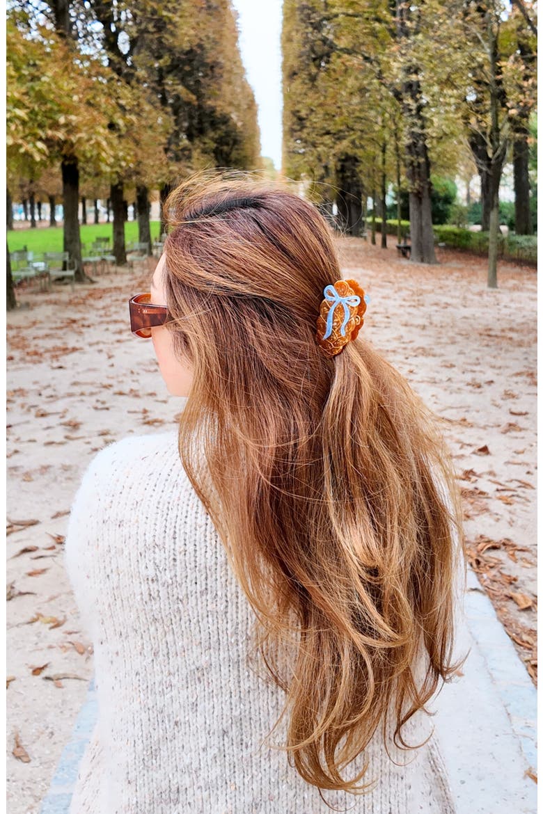 Hand Painted Bow Challah Claw Clip, Alternate, color, BROWN