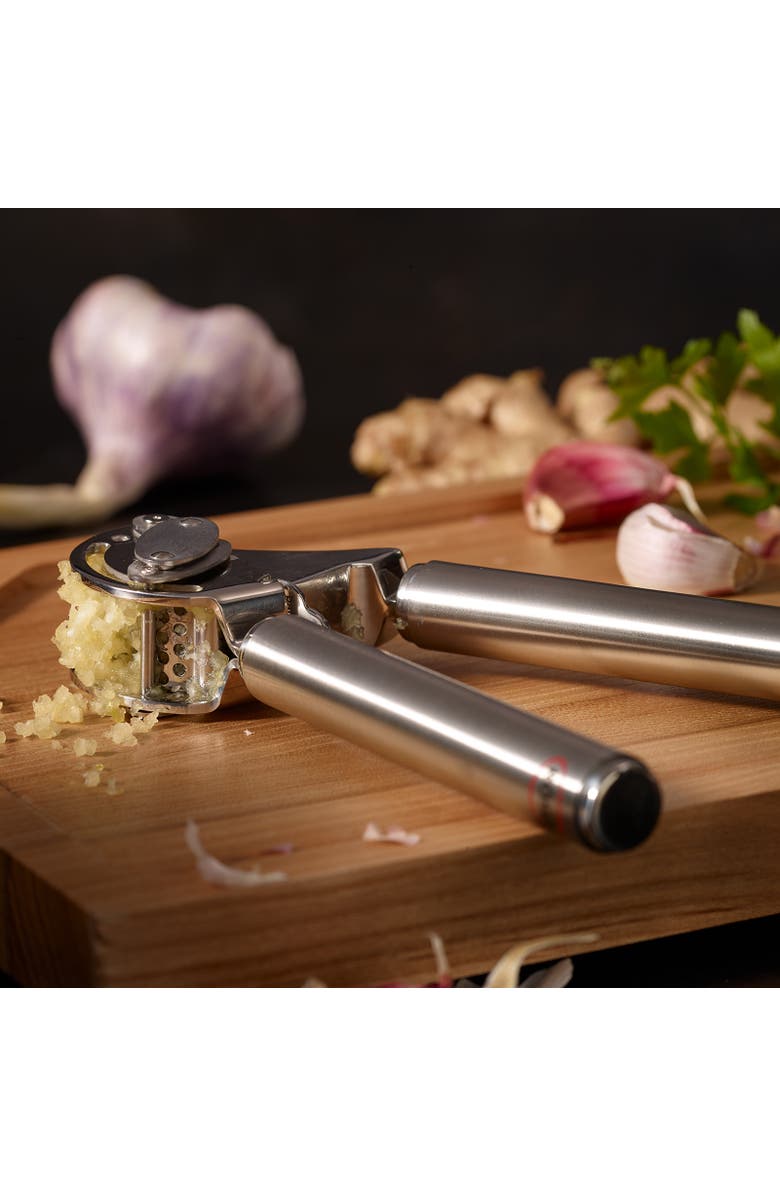 Rosle Stainless Steel Mincing Garlic / Ginger Press with Scraper, 9-inch, Alternate, color, Silver