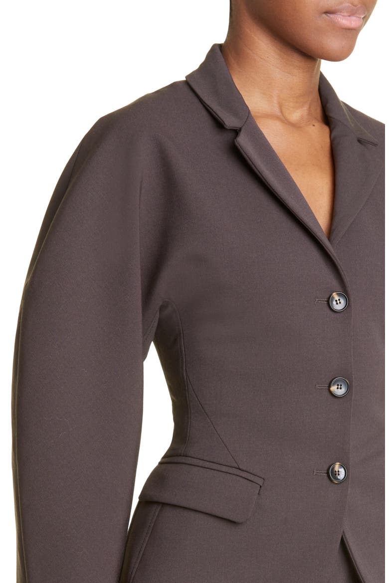Aden Single Breasted Blazer, Alternate, color, MAROON