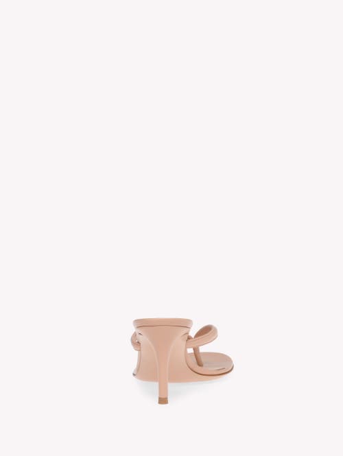 Gianvito Rossi Calypso Sandals In Neutral