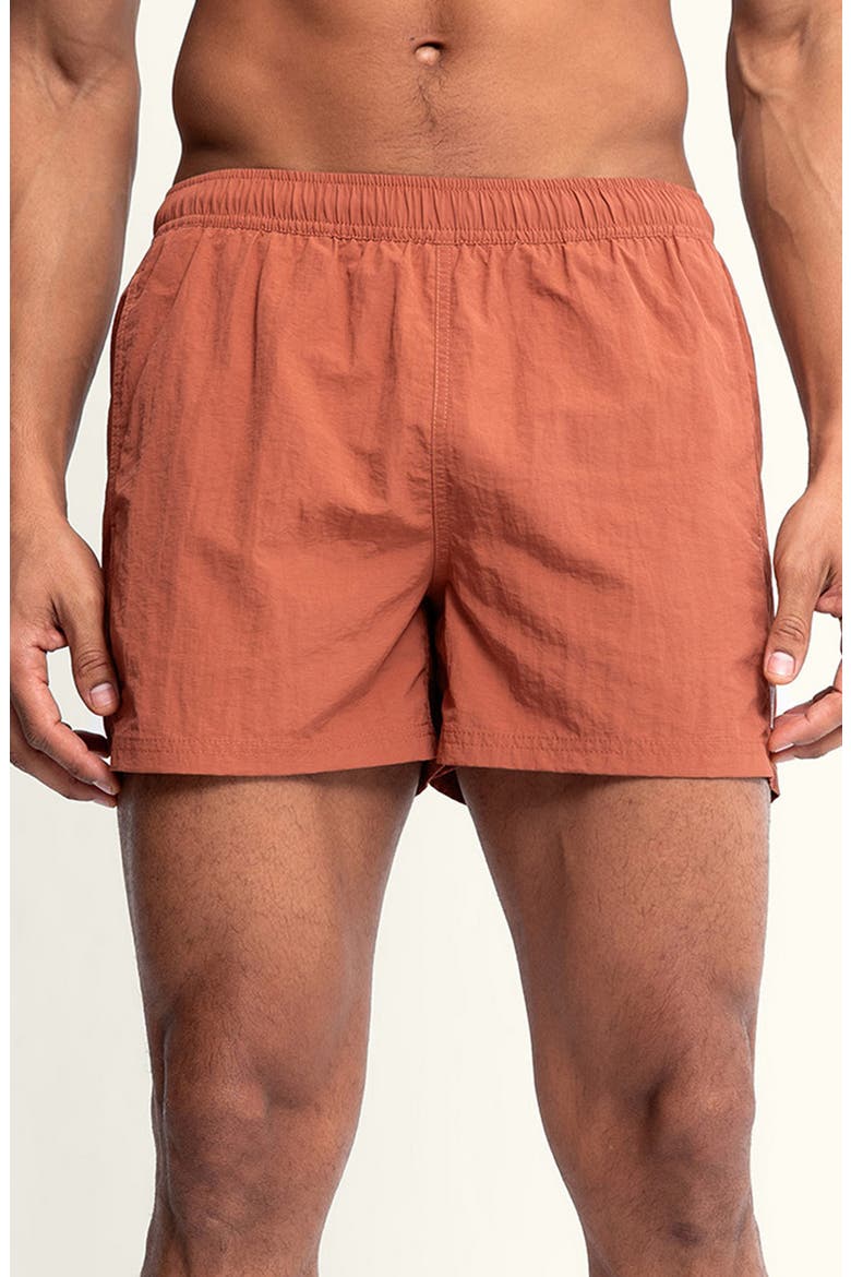 Sebastian Solid 4-Inch Nylon Swim Trunks, Main, color, TERRASOLE/ BROWN