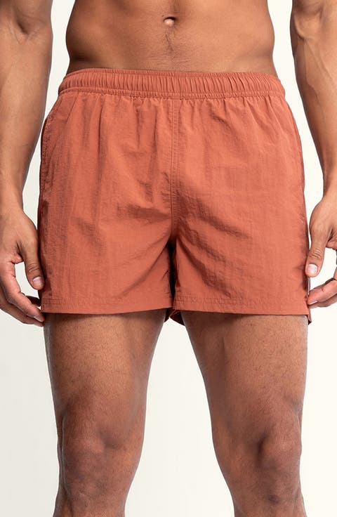 Sebastian Solid 4-Inch Nylon Swim Trunks