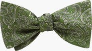 Beau Ties of Vermont Pembroke Bow Tie