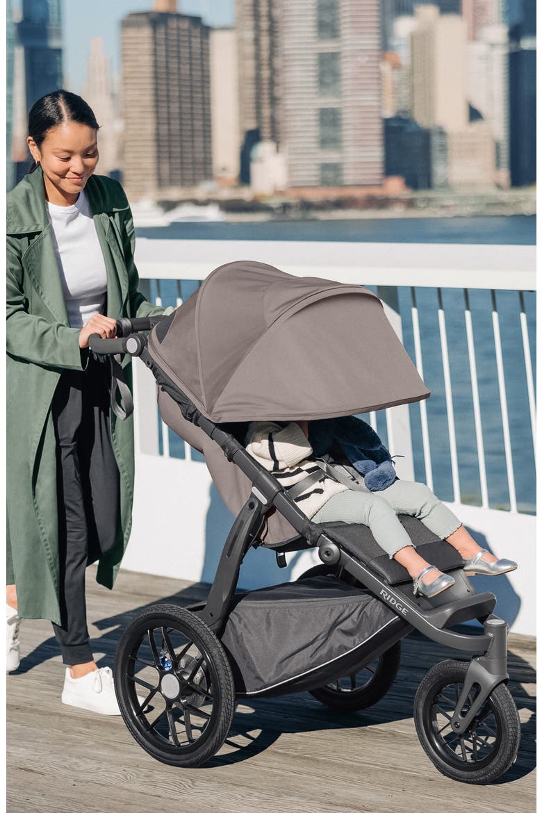 RIDGE All-Terrain Stroller, Alternate, color, THEO