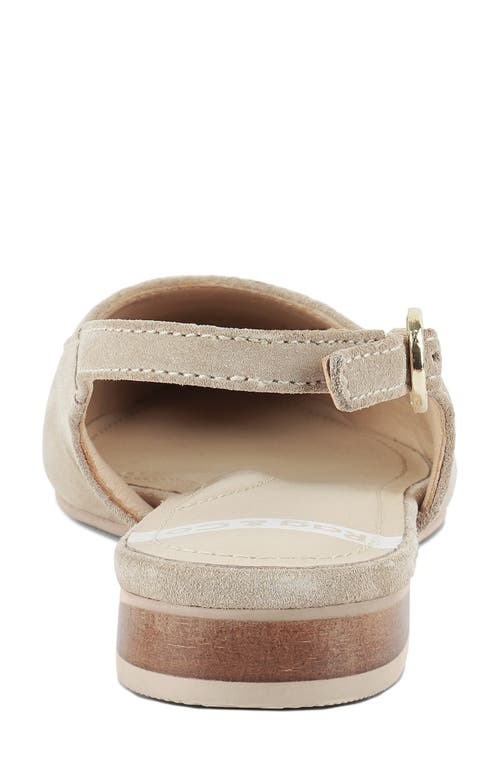 Rag & Co Women's Neutrals Uwaha Genuine Leather & Real Suede Slingback Flats In Beige In Beige