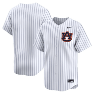 Nike Men's Nike White Auburn Tigers Alternate Limited Baseball Jersey