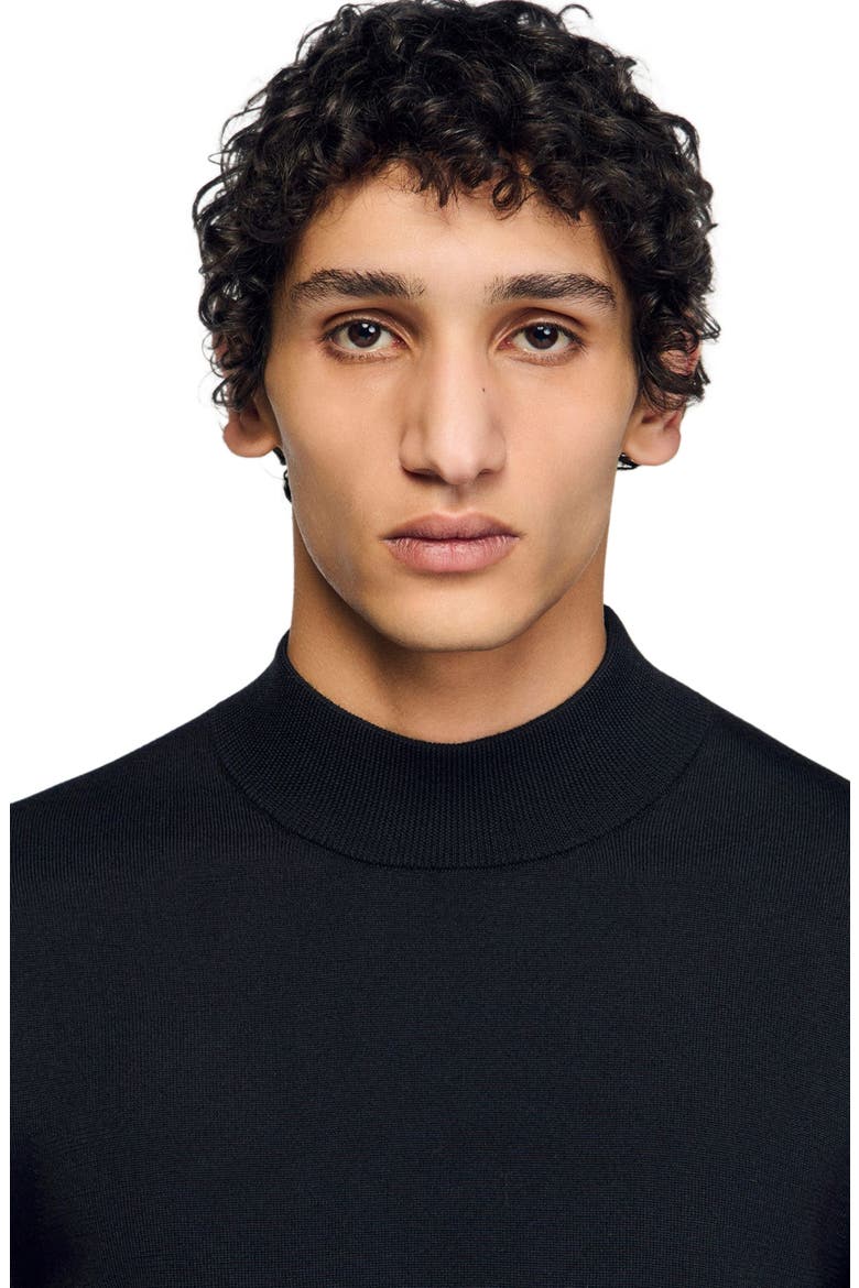 Wool sweater with high neck, Alternate, color, Black