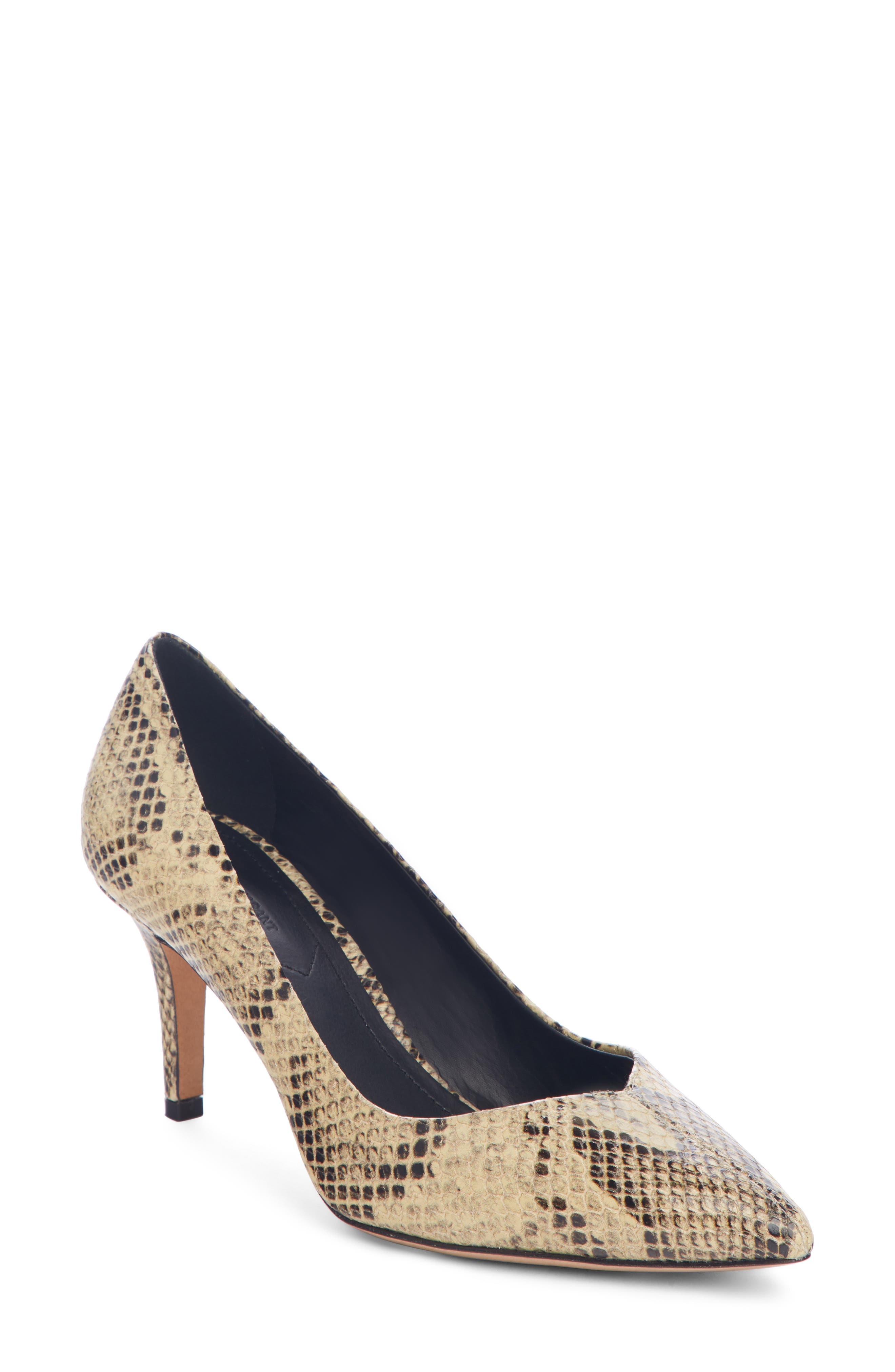 Isabel Marant Pully Pointy Toe Pump, Main, color, 