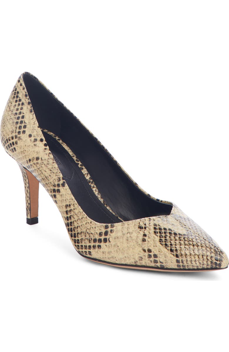Isabel Marant Pully Pointy Toe Pump, Main, color,