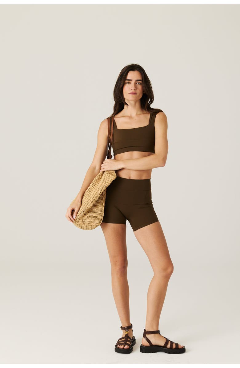 Daughter Lessons Cruise Shorts, Alternate, color, Brown
