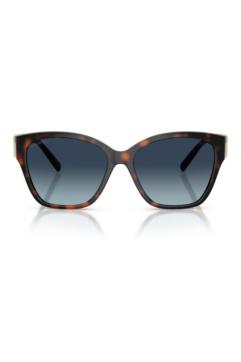 56mm Polarized Sunglasses, Main, color, HAVANA / AZURE GRADIENT BLUE POLAR