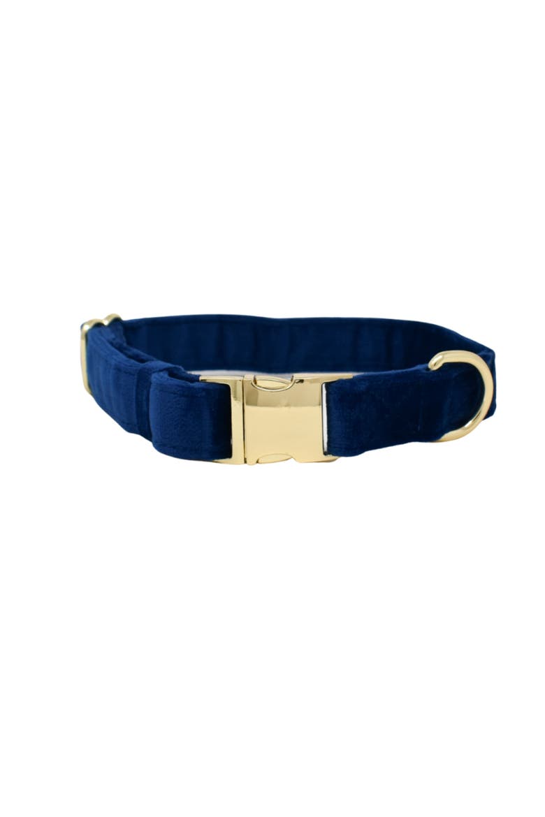 Channing Dog Collar, Main, color, Channing
