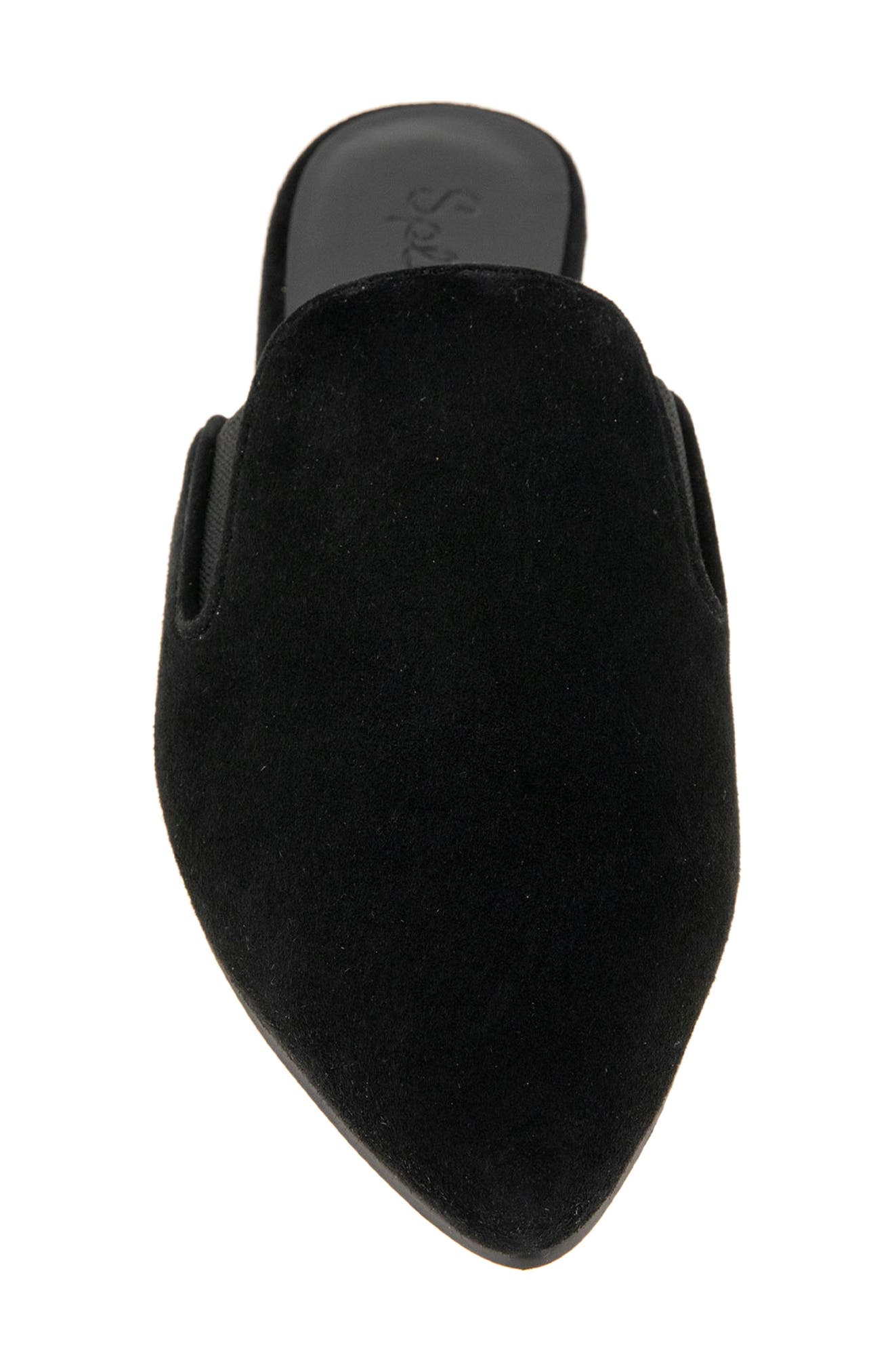 Splendid Liza Pointed Toe Mule, Alternate, color, Black Suede