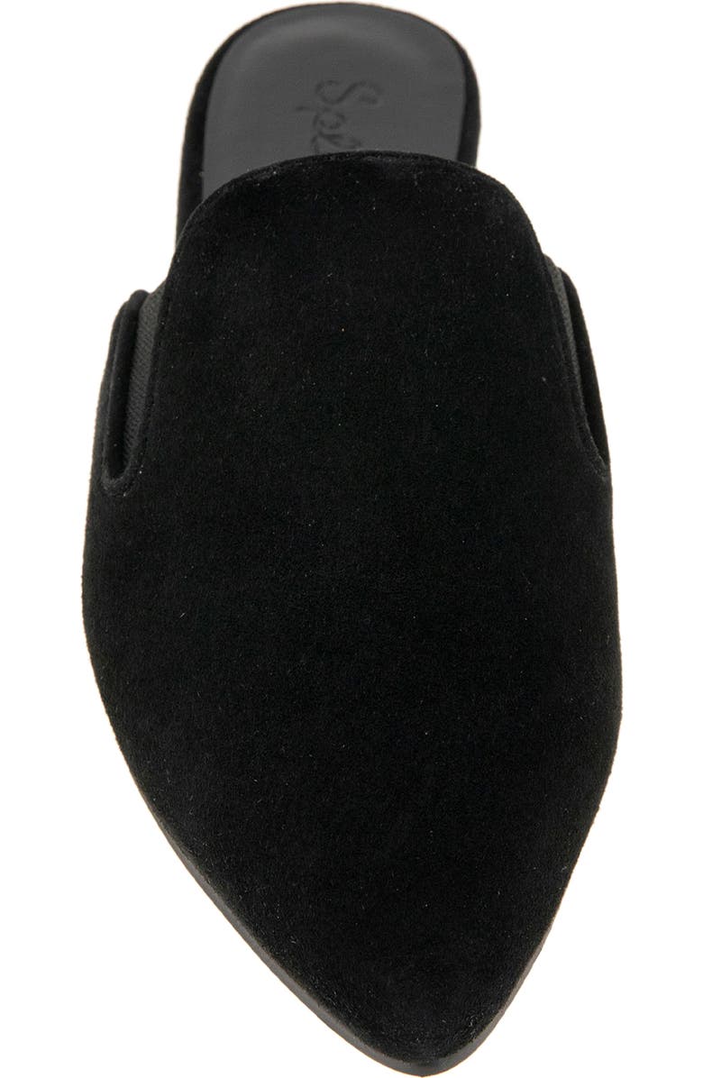 Splendid Liza Pointed Toe Mule, Alternate, color, Black Suede