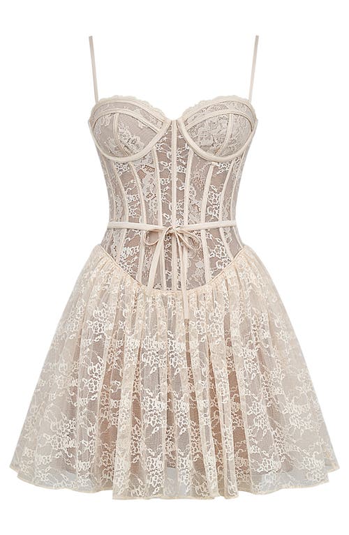 House Of Cb Louisa Embroidered Lace Corset Minidress In Vintage Cream