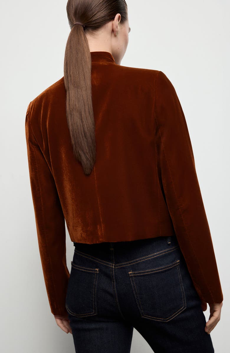 MANGO Velvet Jacket, Alternate, color, 