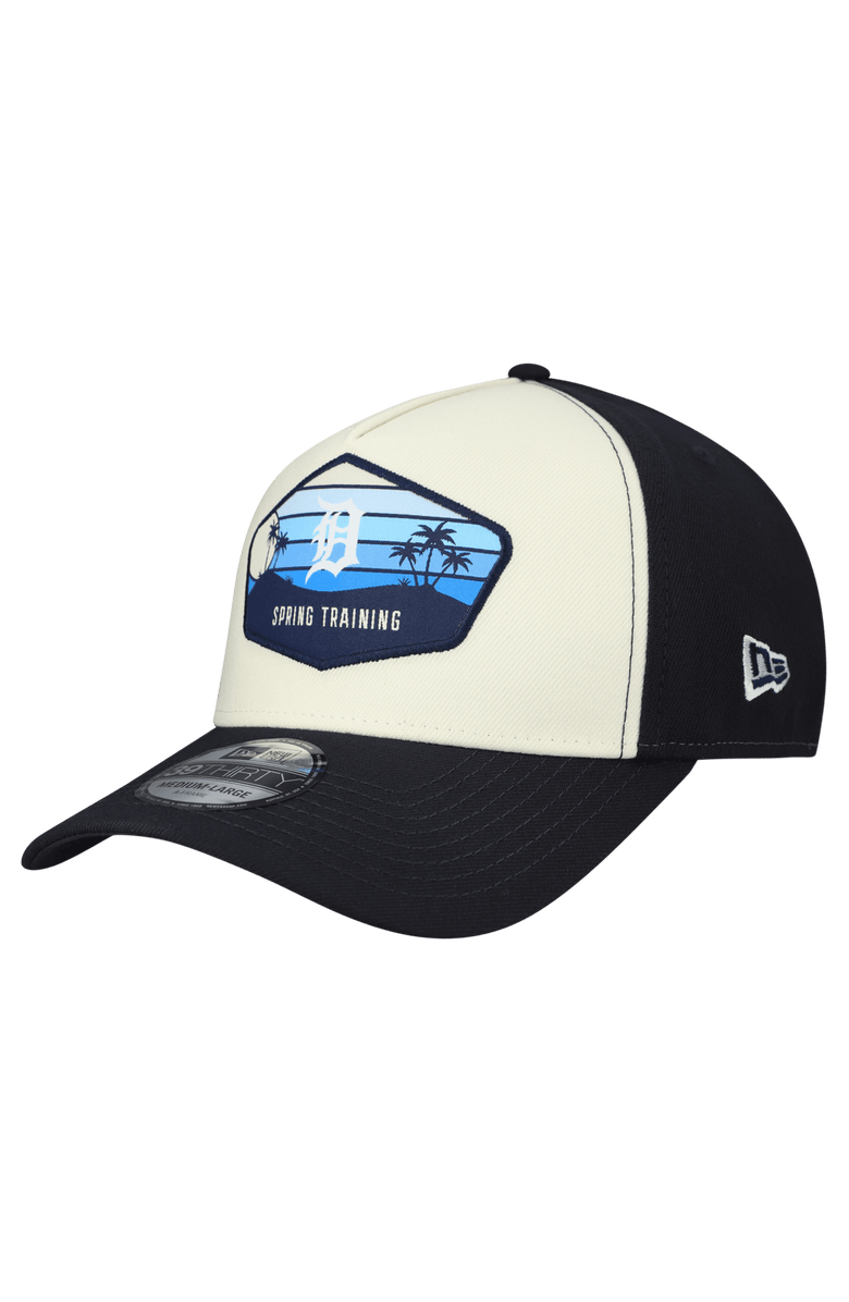 New Era Men's New Era  Stone Detroit Tigers 2026 Spring Training Fan Pack Gradient 39THIRTY Flex Hat, Main, color, Stone