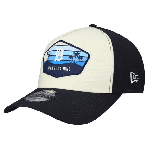 Men's New Era  Stone Detroit Tigers 2026 Spring Training Fan Pack Gradient 39THIRTY Flex Hat