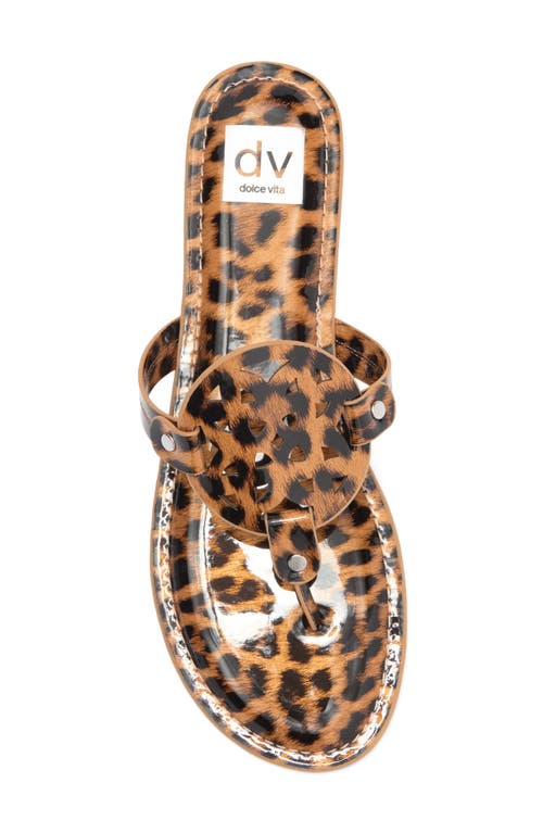 Dolce Vita Dv By  Gotie Laser Cut Studded Thong Sandal In Leopard Patent