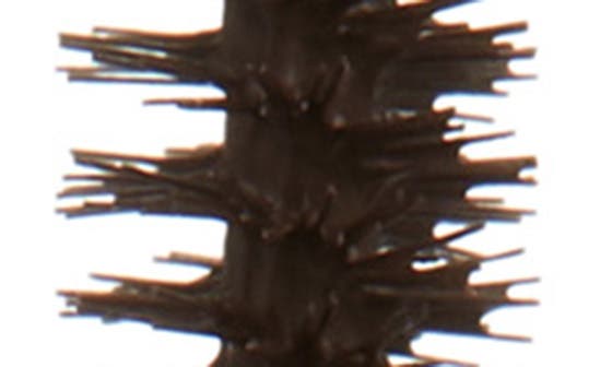 selected DARK CHOCOLATE