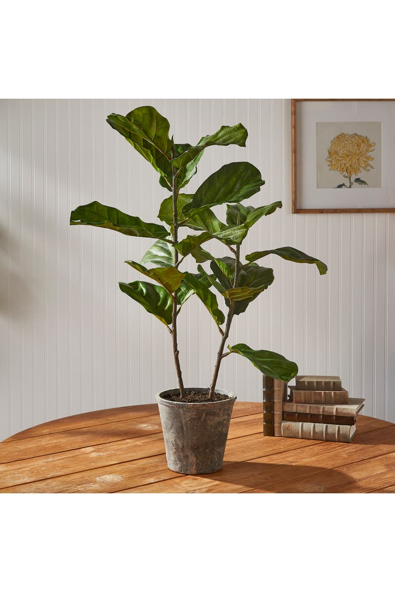 Fiddle Leaf Fig Potted 43", Alternate, color, Green