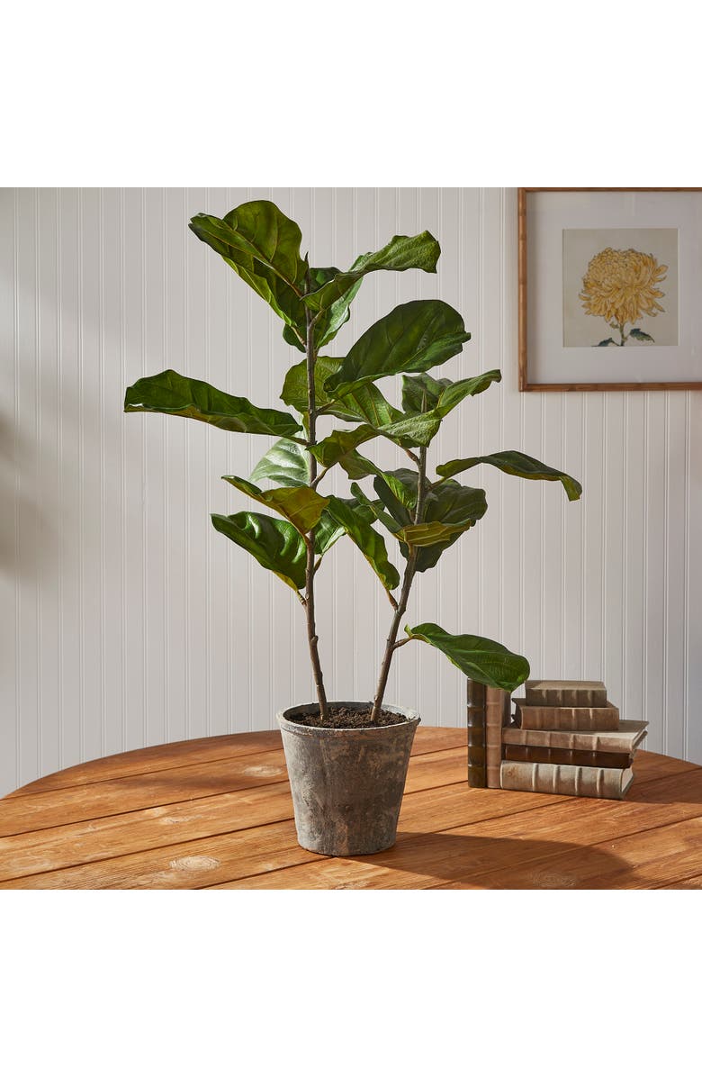 Napa Home & Garden Fiddle Leaf Fig Potted 43", Alternate, color, Green