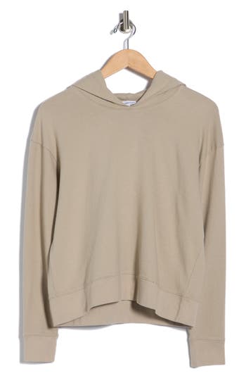 James Perse Cotton Pullover Hoodie In Brown