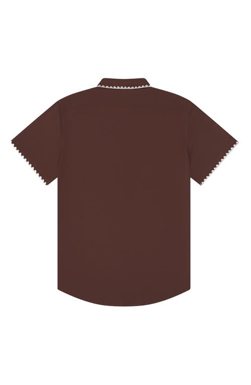 Shop Mavrans Blanket Stitch Short Sleeve Performance Button-up Shirt In Brown/white