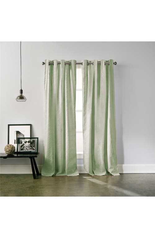 Dkny Chrysanthemum Floral Grommet Curtains In Sage