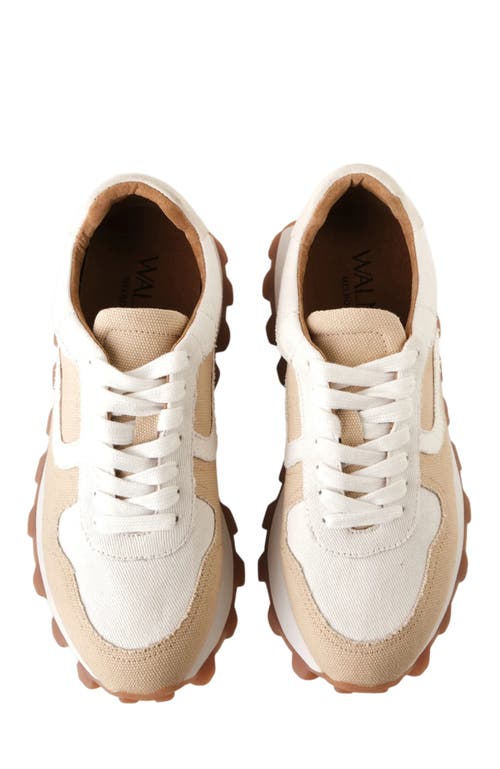 Walnut Melbourne Lourdes Sneaker In Beige