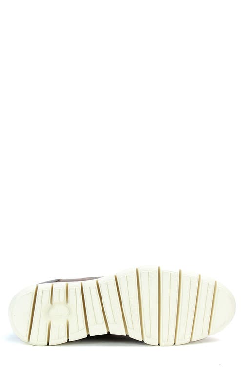 Bed Stu Fairman Sneaker In Cold Brew Rustic