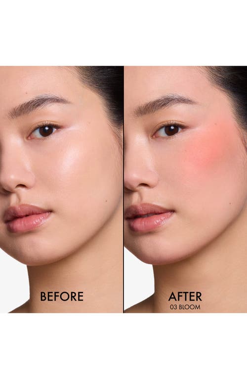 Dior ' Forever Blush Soft Filter Liquid Blush In Pink