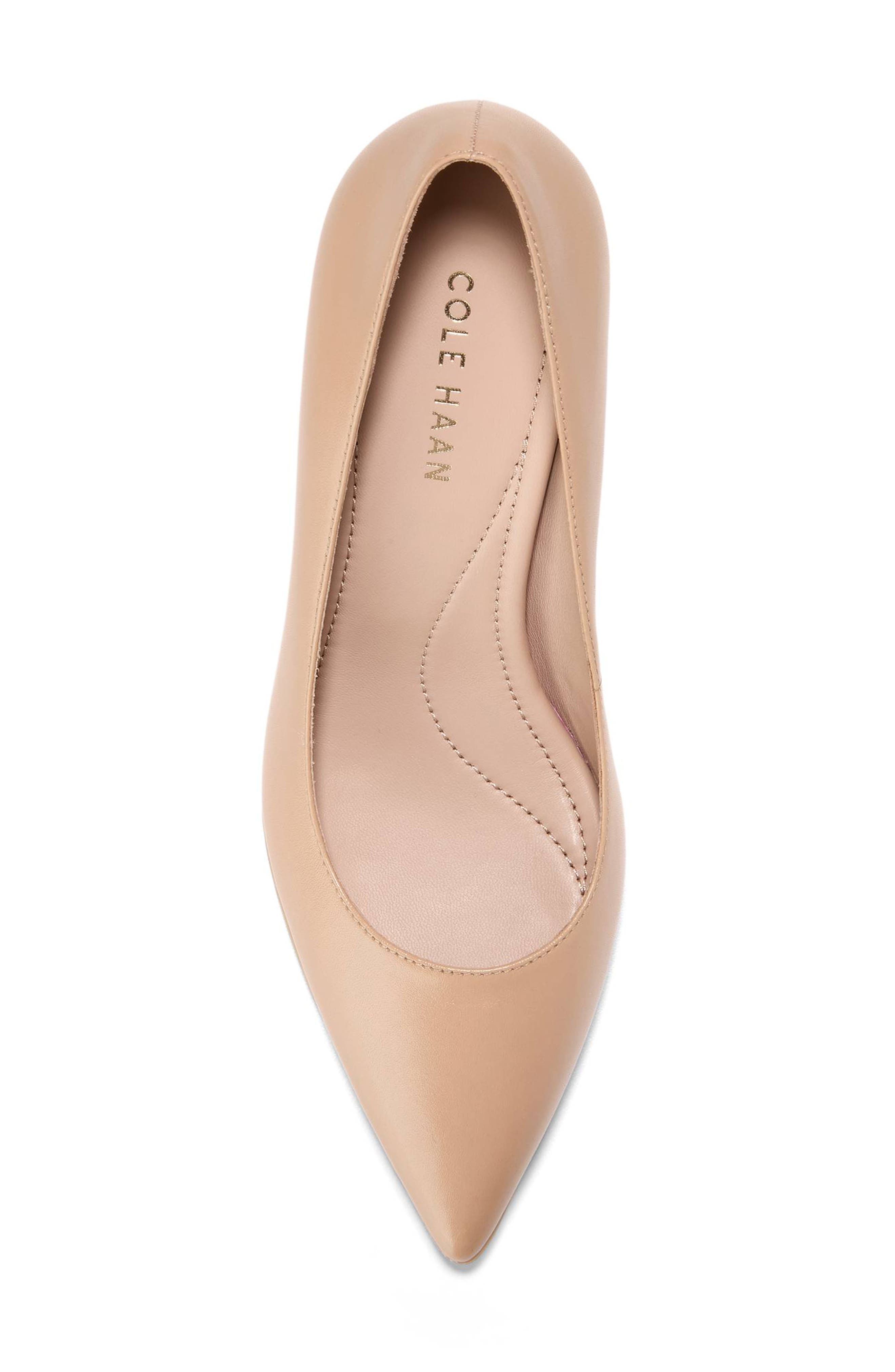 Grand Ambition Angelica Pointed Toe Pump, Alternate, color, TUSCAN SAND LEATHER