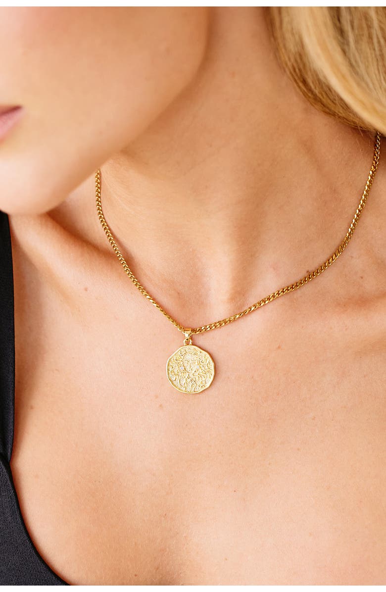 Mint & Lily Astrological Sign Coin Pendant Necklace, Alternate, color, Leo