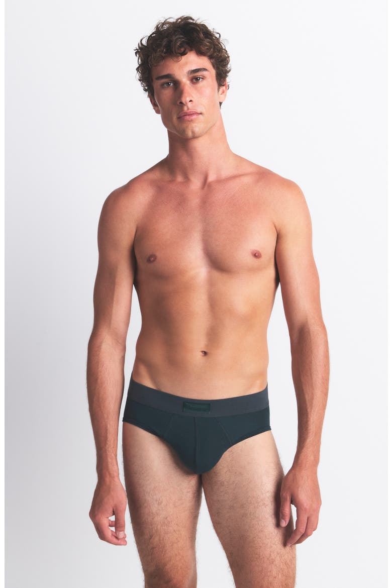 3-Pack Cotton & Modal Blend Briefs, Alternate, color, BLUE BLACK MULTI