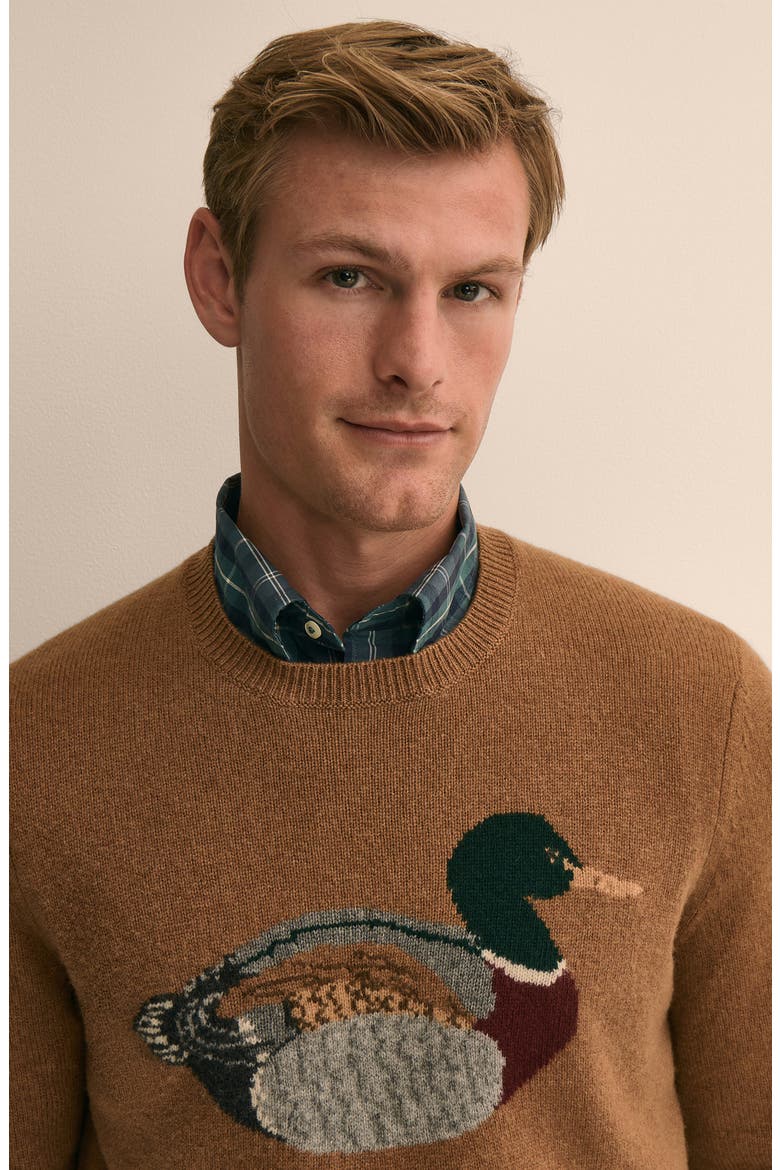 Mallard Intarsia Wool Sweater, Alternate, color, CAMELDUCKINTARSIA